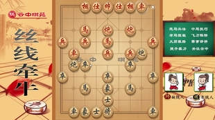 武文慧象棋直播，传统智慧的数字呈现