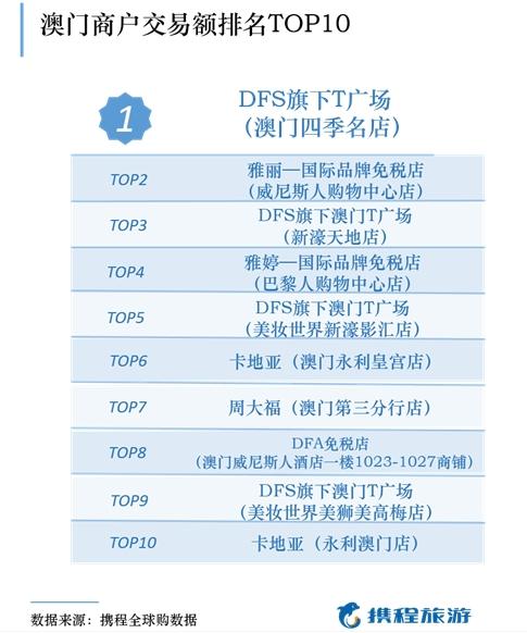 澳门正版免费全年资料大全旅游团,全面解析数据执行_轻量版88.131